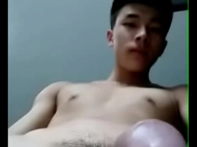 A series of gay porn with Asian performers.